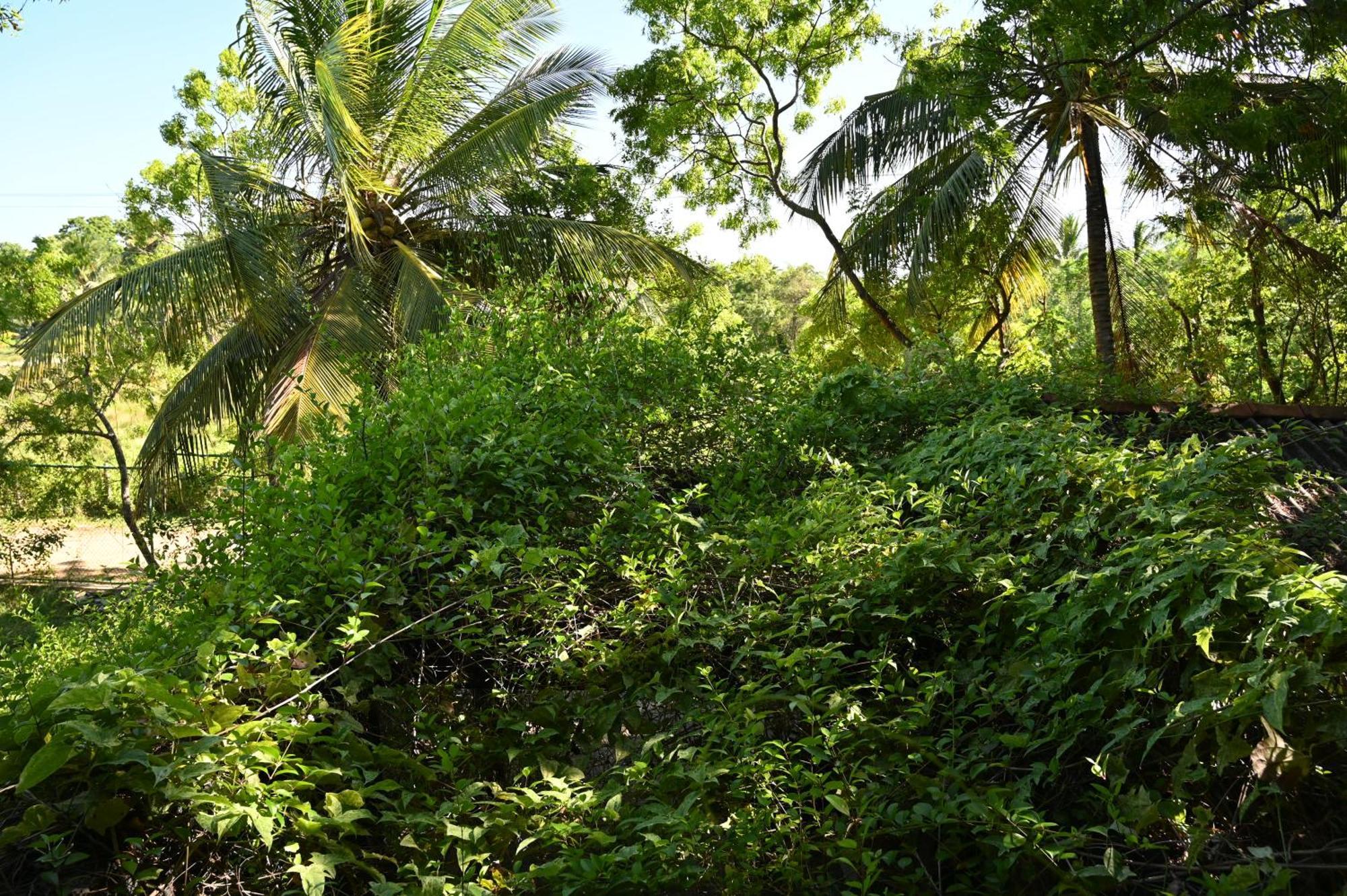 Breezy Lake Tissamaharama Luaran gambar